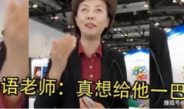 辽宁女老板爆料视频播放,揭秘企业内幕与职场真相
