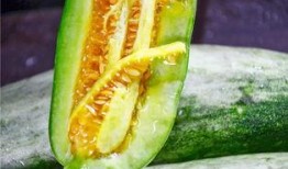 莱阳吃瓜网红是谁啊,网络红人的崛起之路