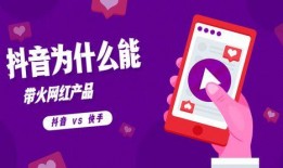 天津配餐爆料人抖音视频,揭秘后厨黑幕，食品安全引关注